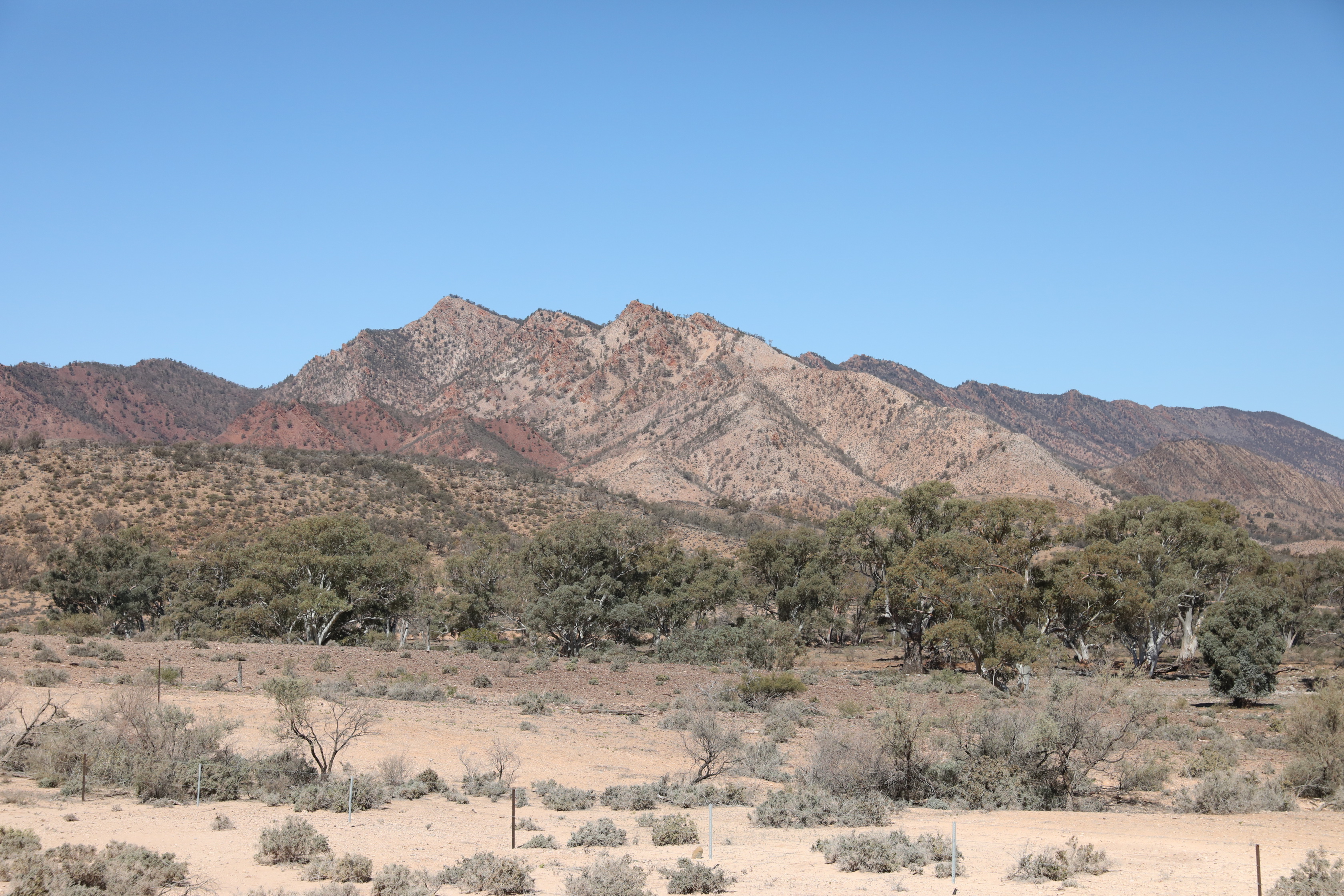 2019 09 01 14 07 34 Canon EOS 5D Mark IV 0027